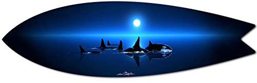Surfboard Deko Delfin Surfbrett Deko Surfbrett Alu Druck Wanddeko 100 x 30 cm