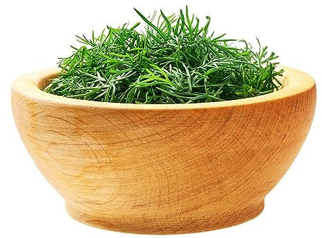100 pcs colakraut bio samen - deko pflanzen grüne deko,Artemisia abrotanum,cola kraut kräuter pflanzen balkonpflanzen winterhart dekoration wohnzimmer garden ausgefallene geschenke