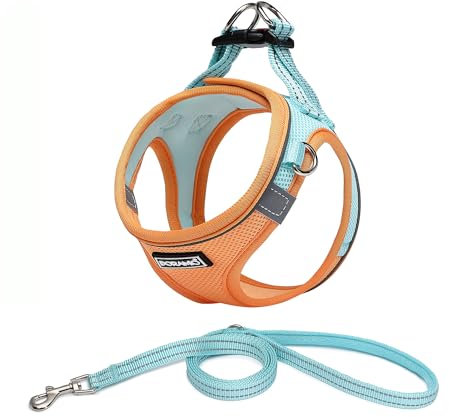 DORAMIO Hundegeschirr Kleine Hunde mit Leine, Step-in Geschirr Reflektierend Atmungsaktiv Brustgeschirr Anti Zug Sicherheitsgeschirr Katzengeschirr für Kleine Hunde, Katzen (M, Orange Blau)