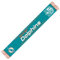 Great Branding NFL Frankfurt Game 2023 Miami Dolphins GO FINS Schal