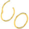 Body CAC 2 Stück-1,2mm×9mm Gold Damen Chirurgenstahl Nasenringe mit Scharnier Edelstahl Ohrring Piercing Helix Knorpel Tragus Ohrringe