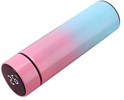 Bouteille d'eau isotherme en acier inoxydable avec affichage intelligent de la température - 500 ml - Bouteille d'eau isotherme en métal étanche - Pour salle de sport et étudiants - Tasse portable