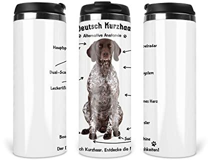 Reisebecher/Thermobecher/Isolierbecher/Edelstahl | 340 ml |Deckel | Motiv Alternative Anatomie Deutsch Kurzhaar