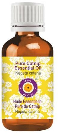 Deve Herbes puro Olio essenziale di erba gatta (Nepeta cataria) distillato a vapore 10ml (0.33 oz)