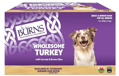 Burns Pet Natural Nutrition Adult and Senior Wet Dog Food Wholesome Turkey, Carrots and Wholegrain Brown Rice 16 x 395gm