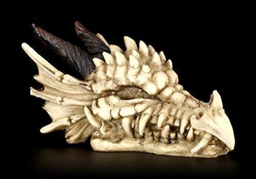 Drachen Totenkopf Figur | Drachenschädel mit Hörnern | Gothic Deko Skelett