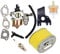 OxoxO Vergaser mit Kraftstofffilter Luftfilter Zündkerze kompatibel mit Honda GX140 GX160 GX200 5,5 6,5 PS Motor Generator Rasenmäher Motor