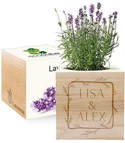 Ecocube gravé cadre fleur (Lavande)