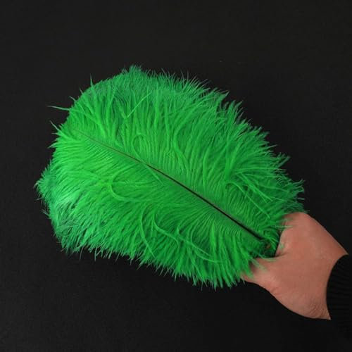 10 Stück 25-30cm Natürliche Straußenfedern,Strauß Feder zum Basteln,Bastel Federn für DIY Traumfänger Zubehör,Heimdekoration,KostüMe,Tischdeko Hochzeit Party Fest Hüte Kleidung Dekoration,Gras Grün