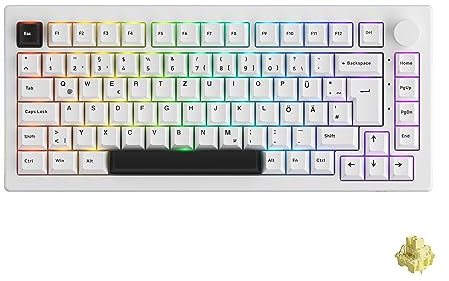 Akko Kabellose Bluetooth-Tastatur, QWERTZ Layout Keyboard mit Hot-Swap Linear Switch, Side RGB-Lichtstreifen, Gasket Mount, Vier Ebenen der Geräuschreduzierung (5075B Plus, Schwarz Weiß)