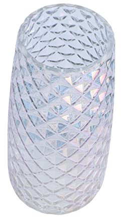 1Stk Vase einmachgläser elegant Ideas Badezimmer verschönern Dekoration Schlafzimmer Dekoration wohnraumdeko Trockenblumen zur Glaswaren blumentopf Colorful Ciieeo