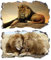 2Pcs Löwe Wandtattoo 3D Effekt XXL Wanddurchbruch Fenster Wandaufkleber für Kinderzimmer Junge Mädchen Groß 1000mmx600mm v02