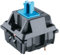 Packung mit Cherry MX Tastenschaltern für Mechanische Tastaturen | Plate Mounted Switches | MX1AE1NN (Cherry Blue, 65 Stück)