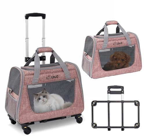 PETCUTE Katzen Transportboxen Bis zu 9 kg,Atmungsaktiv Haustier Transportbox mit Teleskopgriff und Räder,Tragetasche für Katzen und kleine Hunde mit Schultergurt,Abnehmbarem Kissen