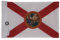Hot Rides Strapazierfähige Flagge für Auto und Boot Florida 15,2 x 22,9 cm