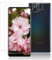Cable Leader 2+2 Stück Schutzfolie für Panzerglas für samsung Galaxy A21S, 2.5D Abdeckung Hohe Transparenz Schutzglas + Kamera Schutzfolie, Frei von Fingerabdruck HD Klare A21S Displayschutzfolie