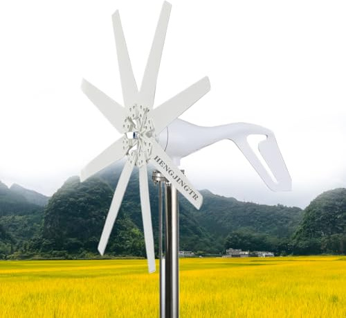 HUIZHITENGDA 48v,Generatore Eolico da 12V 24V 48V per energia Gratuita, Mini Mulino a Vento per Uso Domestico, agricolo o Nautico a 110V o 220V con Controller (12000W, 8 Lame)