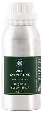 Mystic Moments Sylvestra ätherisches Bio-Kiefernöl, 1 kg, reines und natürliches Öl für Diffusoren, Aromatherapie und Massagemischungen, vegan, gentechnikfrei