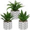 Set di 3 piante grasse artificiali, piante artificiali decorative in vaso di vetro argentato, mini piante grasse per soggiorno, balcone, camera da letto, bagno, decorazione da tavolo