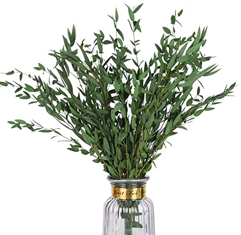 HIAGROW Real Eucalyptus Stems Greenery Decor 20PCS 17 Dried Willow Eucalyptus Plant Preserved Greenery Stems for Home Vase Filler Wedding Flowers Arrangement Spring Decorations