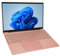 Laptop da 15,6 Pollici con CPUCeleron N5095, 16 GB di,11, Rosa (Spina UE da 16+2 TB)