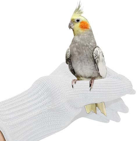 NCONCO Gants Anti-morsure de Protection pour Perroquets - Dressage d'Oiseaux avec Fil d'Acier à Mâcher (Blanc)