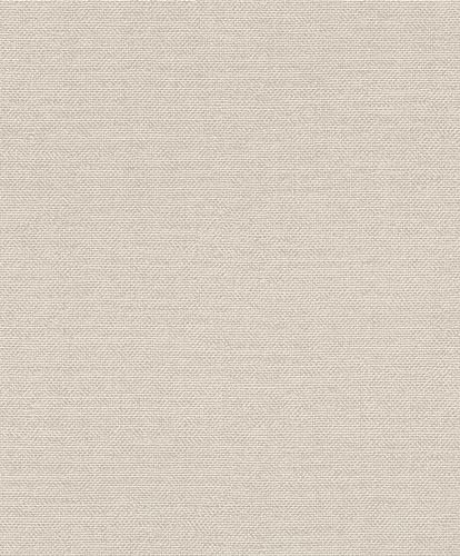 Rasch Tapeten 312140 - Unitapete aus Vlies in Hellgrau aus der Kollektion Color your life - 10,05 m x 0,53 m (LxB)