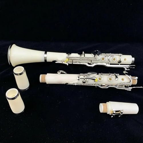 B-Klarinette für Anfänger Klarinette Mit G-Klappe Ebenholz Weiß Versilberte Tasten Gutes Material Und Klang Mit Koffer