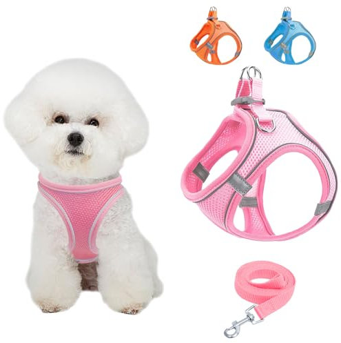 Atmungsaktive Hundeweste mit Leine, Einstellbar Reflektierend Weich Gepolstert Hunde Geschirr, Air-Mesh Atmungsaktiv Brustgeschirr für Kleine, Mittelgroße Hunde & Welpen (Rosa, S)