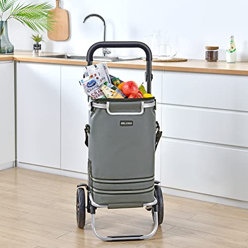 [en.casa] Einkaufstrolley Namborn Einkaufswagen mit Abnehmbarer Tasche 41 Liter bis 20 kg belastbar Transportwagen mit wasserdichter Einkaufstasche Thermotasche klappbar Aluminium/Stoff Dunkelgrau