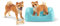 schleich 42479 Shiba Inu Mutter und Welpe, ab 3 Jahren, FARM WORLD - Spielset, 4 Teile