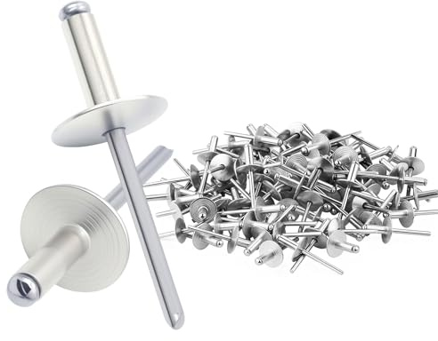 Spetsbst 100 remaches ciegos (4,8 × 25 mm) | Remaches de aluminio de ala ancha, remaches de cúpula, juego de remaches ciegos plateados