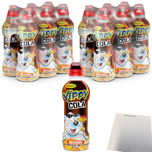 usy Bundle für Yippy Cola Orange 12er Pack (12x330ml Flasche) + usy Block