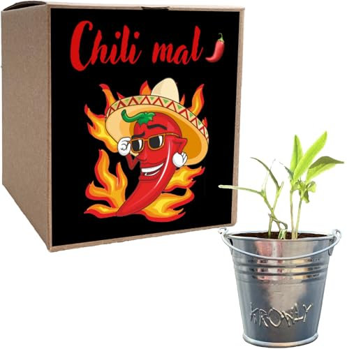 Geschenk für Männer Geschenkidee Chili Mal Anzuchtset Chili Männertag Geburtstagsgeschenk