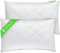 Gentle North Lot de 2 oreillers (40x60 cm Gros) - pour lit et comme Coussin canape décoratif - avec Fermeture éclair pour Le Rembourrage - Coussin de canapé - Lavable jusqu'à 60 °C, Certifié Öko-Tex