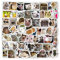 100 Stk. Cat Meme Sticker, Cat Sticker, Katzen Aufkleber, Katzen Merch, Katzen Geburtstag Deko, Katzen Lustig