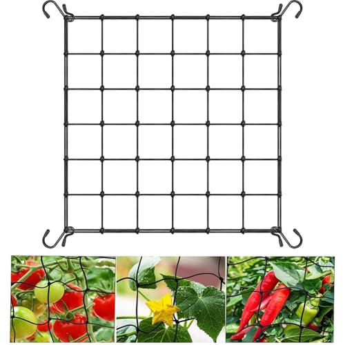 Wachsen Zelt Netz,Scrog Netz 60 x 60cm,Grow Netz mit 4 Haken,PflanzenstüTznetz für Pflanzen, Gemüse,Obst,Elastische Spalier Netz,Passend für Garten,Balkone,Hof,Gartenarbeit