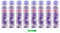 8x MALIZIA PROFUMO D'INTESA Purple Seduction Parfum,Deodorant Deo Spray 100ml + Kostenloser Beni Culinari Schlüsselanhänger