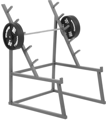Sosoport 1 Set Fitness Ornamente Puppenhaus Mini Dekoration Langhantel Requisiten Langhantel Modellierungs Requisiten Puppenhaus Sportmodelle Puppenhaus Zubehör Lebensechte Langhantel