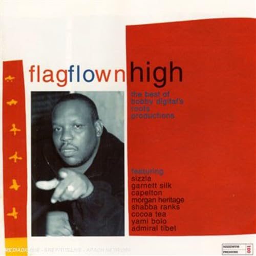 Flag Flown High - The Best Of Bobby Digital Productions