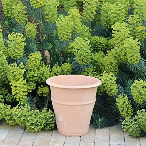 Palatina Céramique | Pot de fleurs en terre cuite fait main | Résistant au gel et aux intempéries | Pot à plantes pour le jardin, la terrasse Yucca (40 cm)