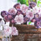 150 Stück nelken blumen samen bartnelken Nelke - Seltene Pflanze serie - blumenmischung garten geschenk blumenwiese balkonpflanzen winterhart winterharte kübelpflanzen saatgut deko büro