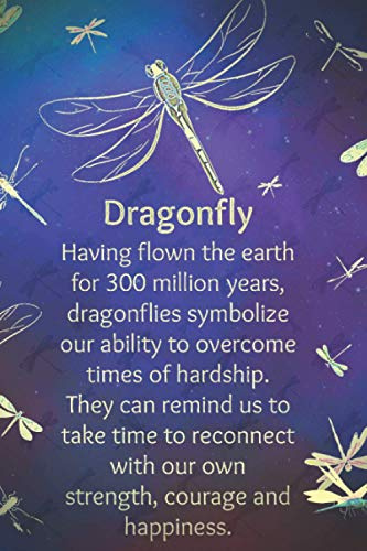 Dragonfly Notebook: Dragonfly Pattern Dreams Journal Wide Ruled Lined Reflection Diary 6x9 120 Sheets 240 Pages