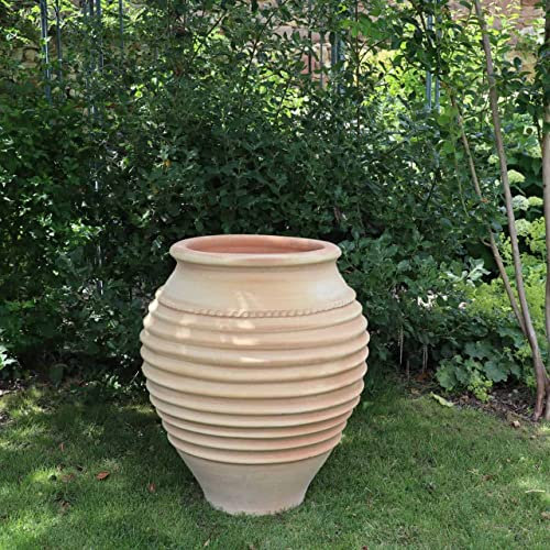 Palatina Ceramica, anfora da giardino Ficus, realizzata a mano, resistente al gelo e di alta qualità, 70 cm