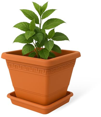 TECHZOCO Macetero con Plato, Maceta Cuadrada clásica de plástico con Plato, Tiesto para Plantas, Fabricado en Polipropileno, 20 cm Altura x 25 cm Ancho, Terracota