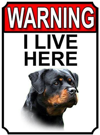 Shawprint WARNING I LIVE HERE METAL GATE SIGN ROTTWEILER THEME 200MM X 150MM (1347H1)