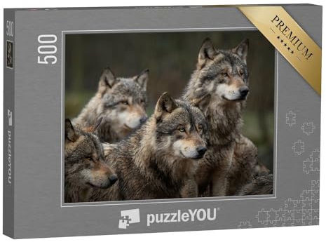 puzzleYOU: Puzzle 500 Teile „Graues Wolfsrudel im Wald“ – aus der Puzzle-Kollektion Wölfe, Raubtiere, Tiere des Nordens, Tiere in Wald & Gebirge, Exotische Tiere & Trend-Tiere