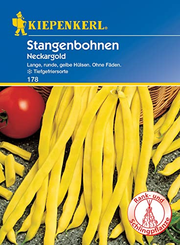 Kiepenkerl 0178 Stangenbohne Neckargold, goldgelbe Feinschmecker-Stangenbohne, ohne Fäden