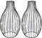 YUENPUN 2 Stück schwarze Metallrahmen-Vase, Glas-Reagenzglasvase mit Laternenform, Glas-Blumenvase mit geometrischem Metallständer, Hydrokultur-Blumenvase für dekoratives Zuhause, Büro
