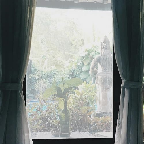 CAPASTEC Mattierte Fensterfolie Klar 1pc Für Zuhause Und Büro PVC | PVC, 45x200cm, Selbstklebend, Sichtschutz, Wiederverwendbar, Kein Kleber Erforderlich, Hinterlässt Keine Rückstände